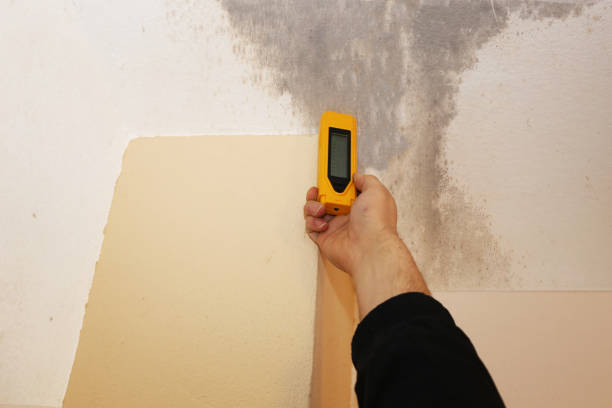 Best Asbestos and Lead Testing During Mold Inspection  in Douglas, WY