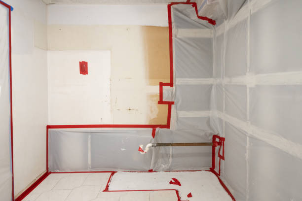Best Post-Remediation Verification Testing  in Douglas, WY