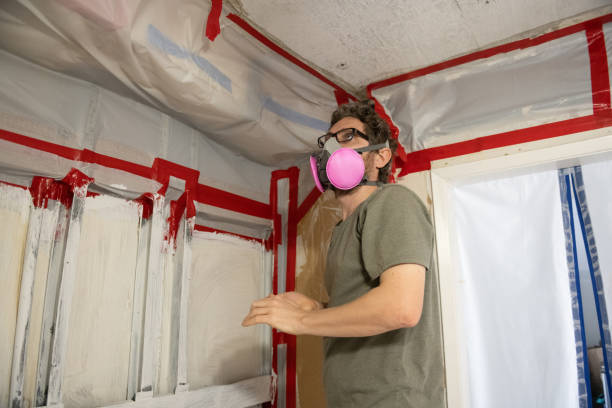 Best Basement Mold Removal  in Douglas, WY