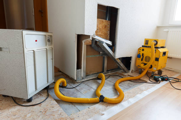 Mold Odor Removal Services in Douglas, WY